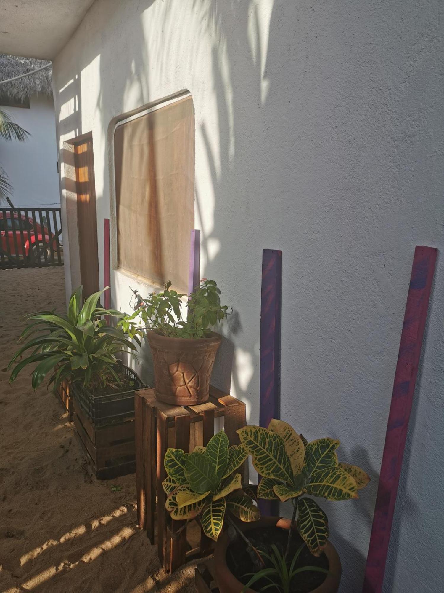 La Maxima & Lgbt Hotel Zipolite Cameră foto