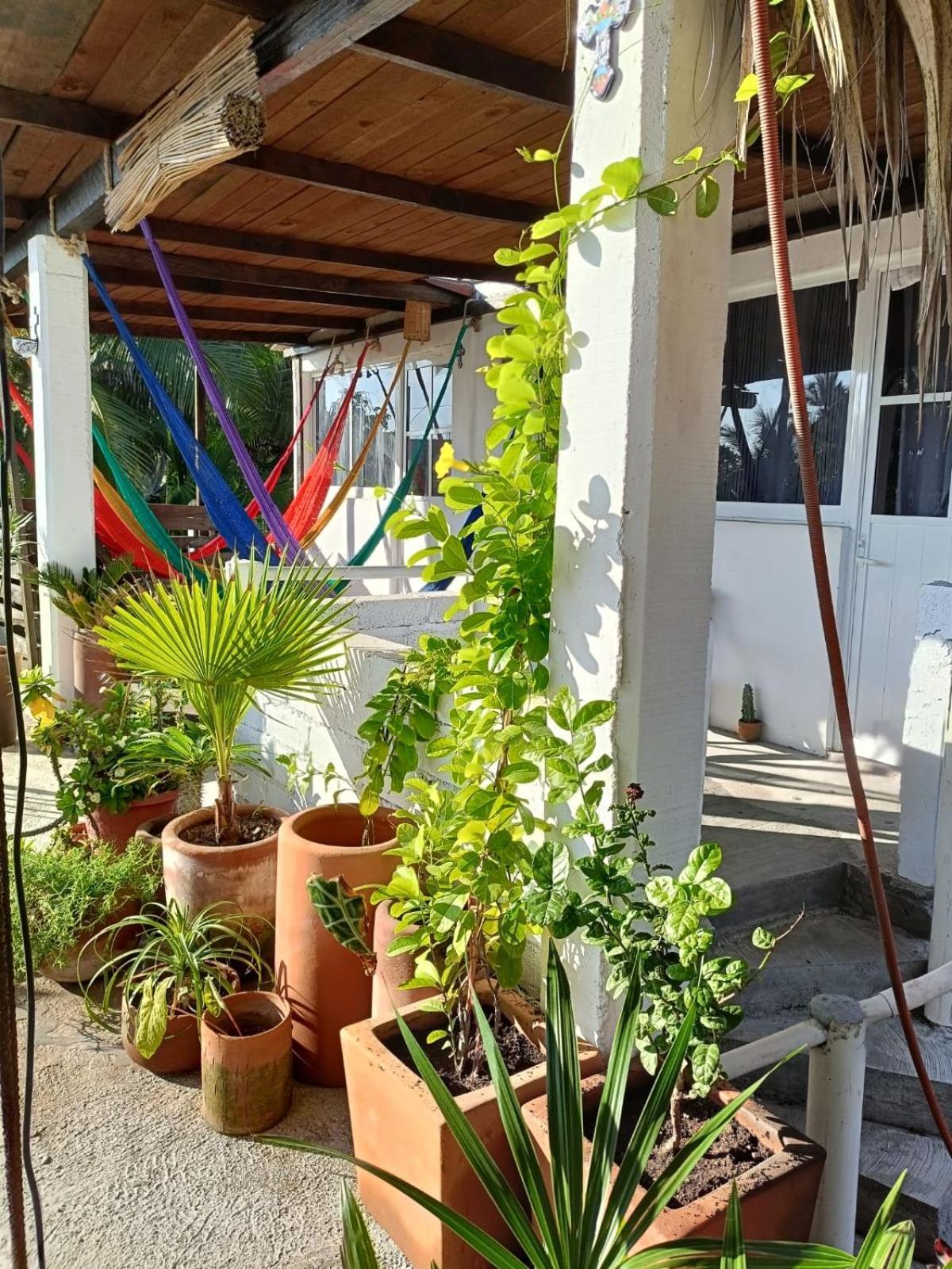 La Maxima & Lgbt Hotel Zipolite Exterior foto